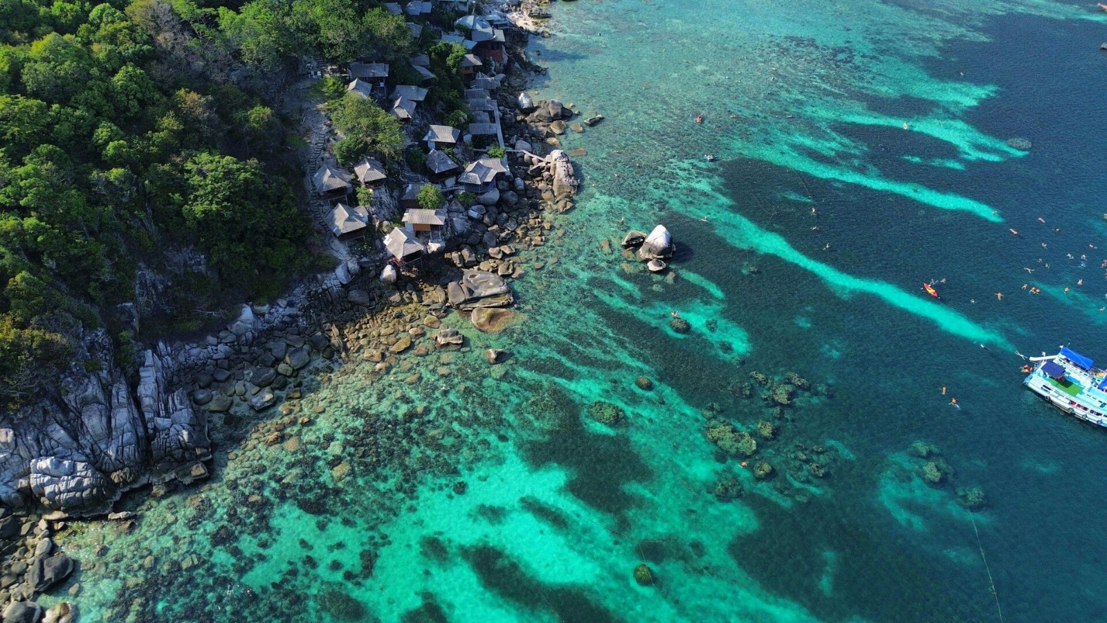 pexels-mirthe-diender-630594493-